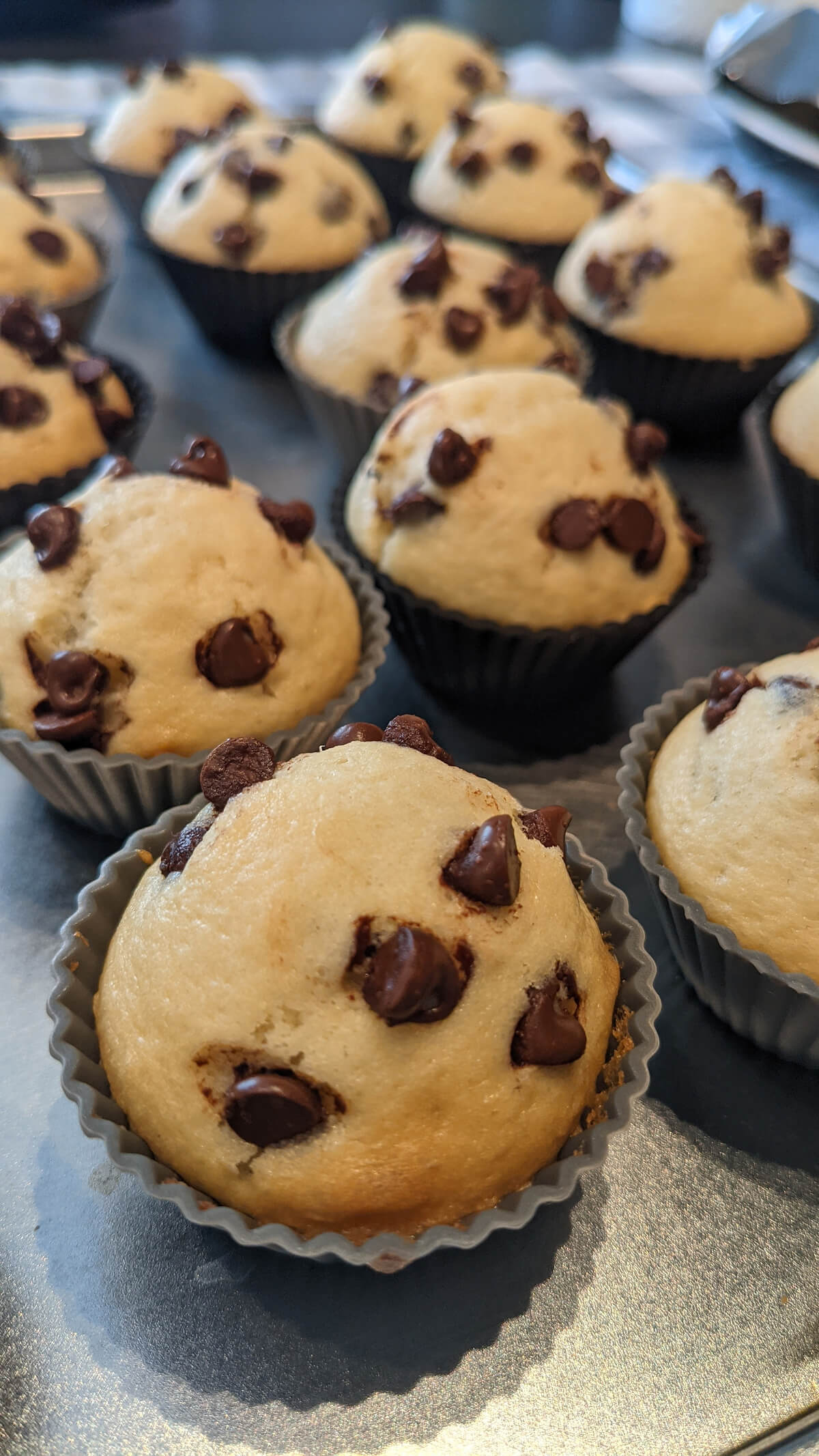 mini muffins aux pépites de chocolat après cuisson dans leurs moules en silicone.