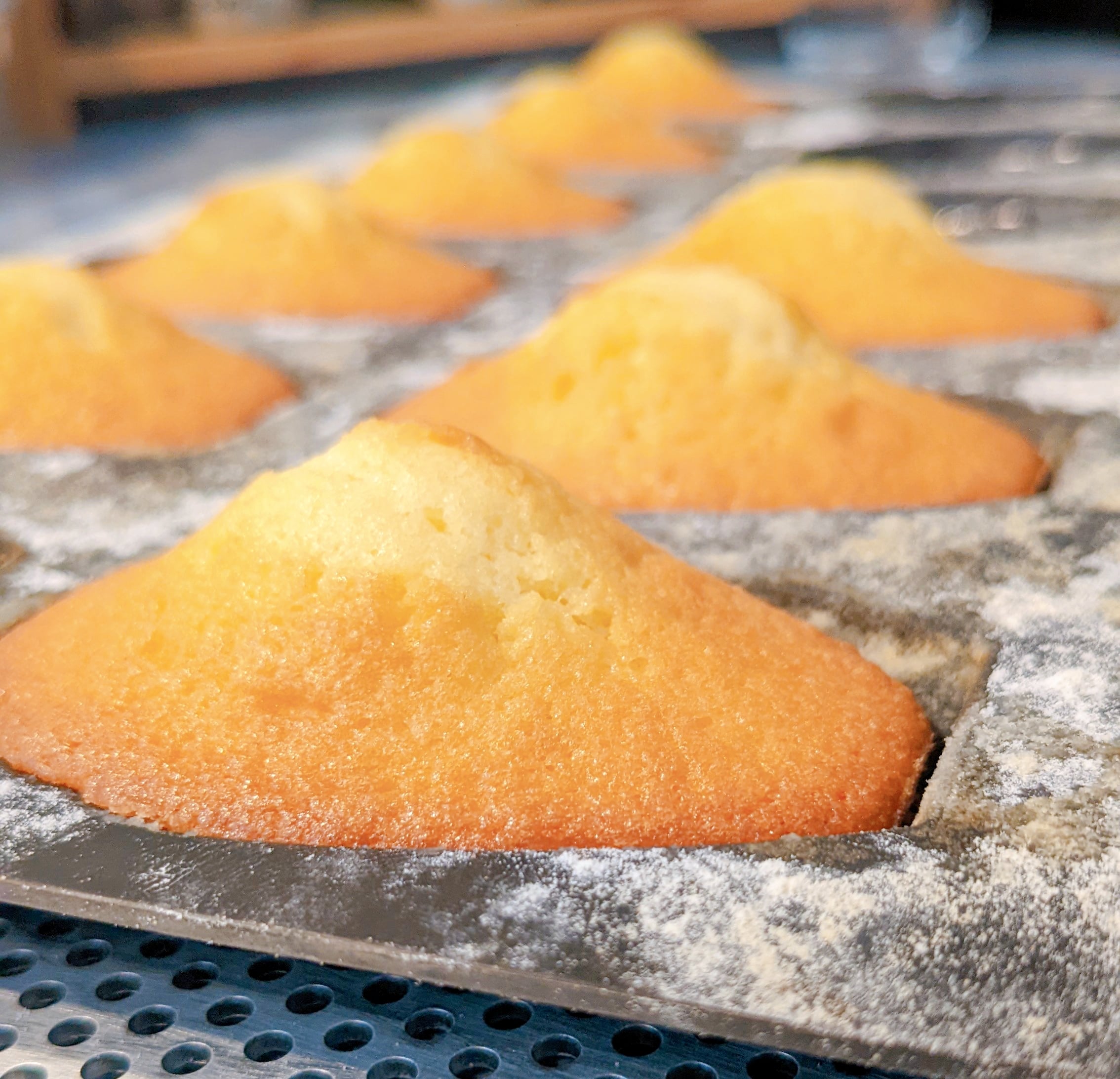Des madeleines huile de coco maison, dans un moule a madeleines.