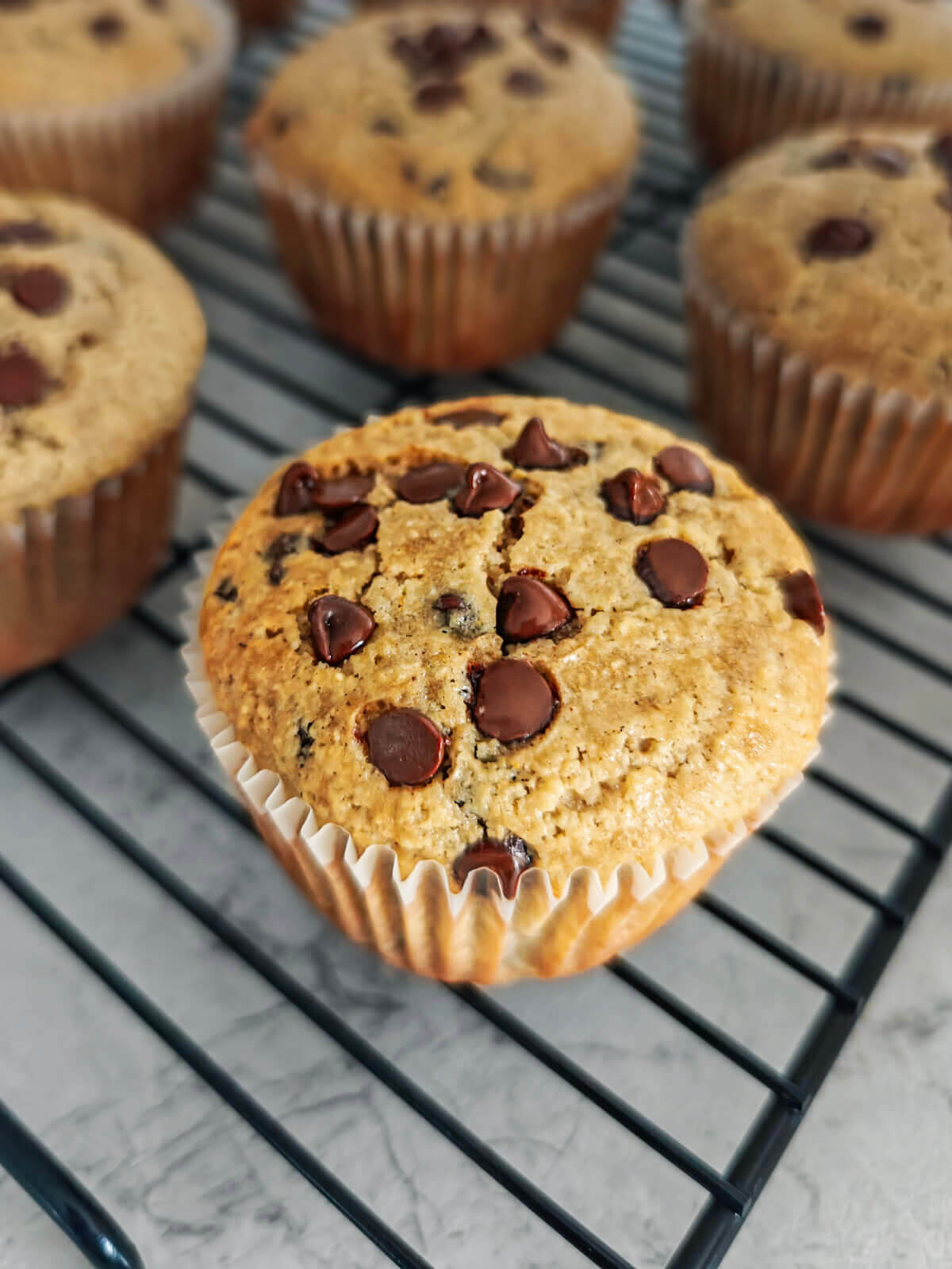 Muffins sans gluten pépites de chocolat sur plaque de refroidissement.