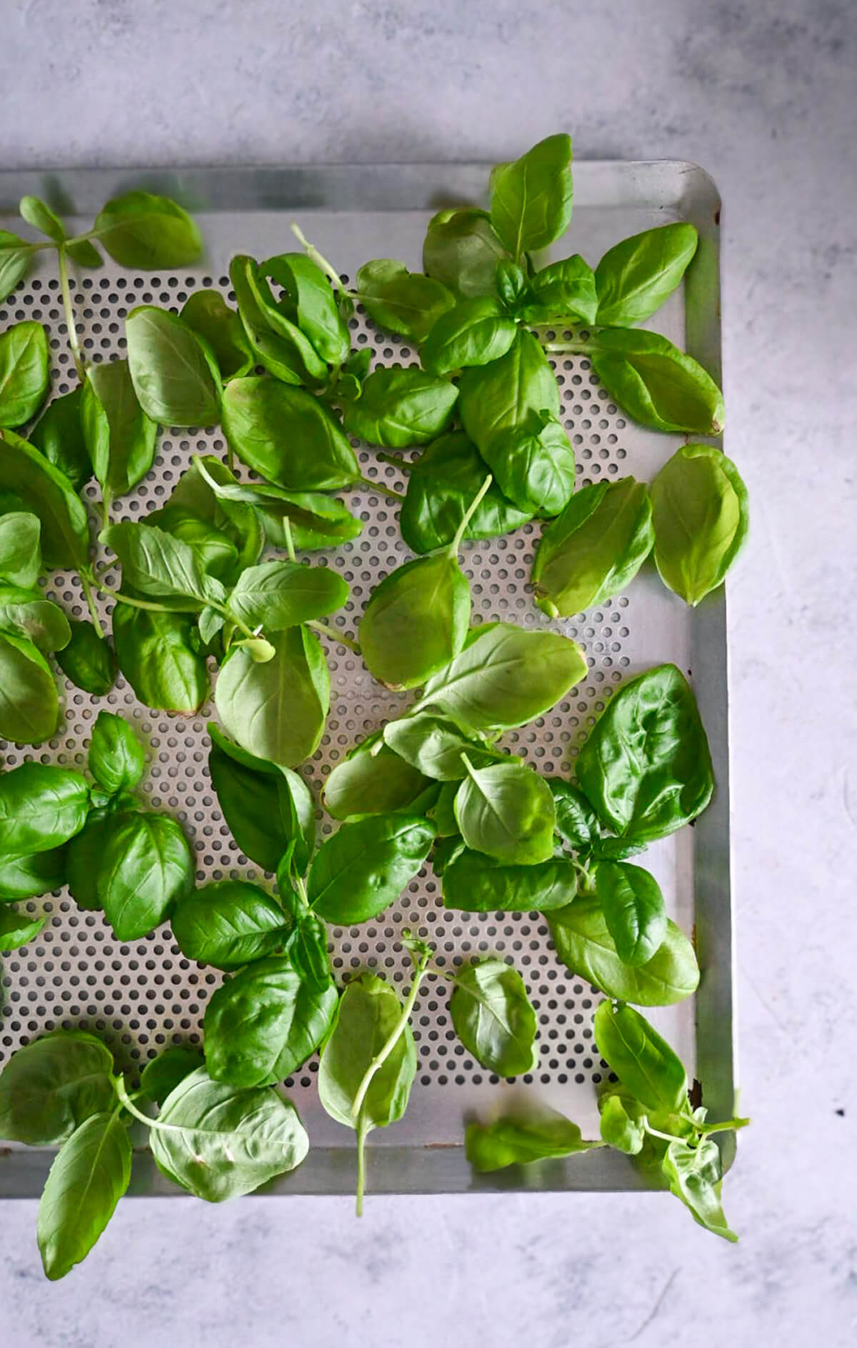 Des feuilles de basilic sur une plaque de cuisson.