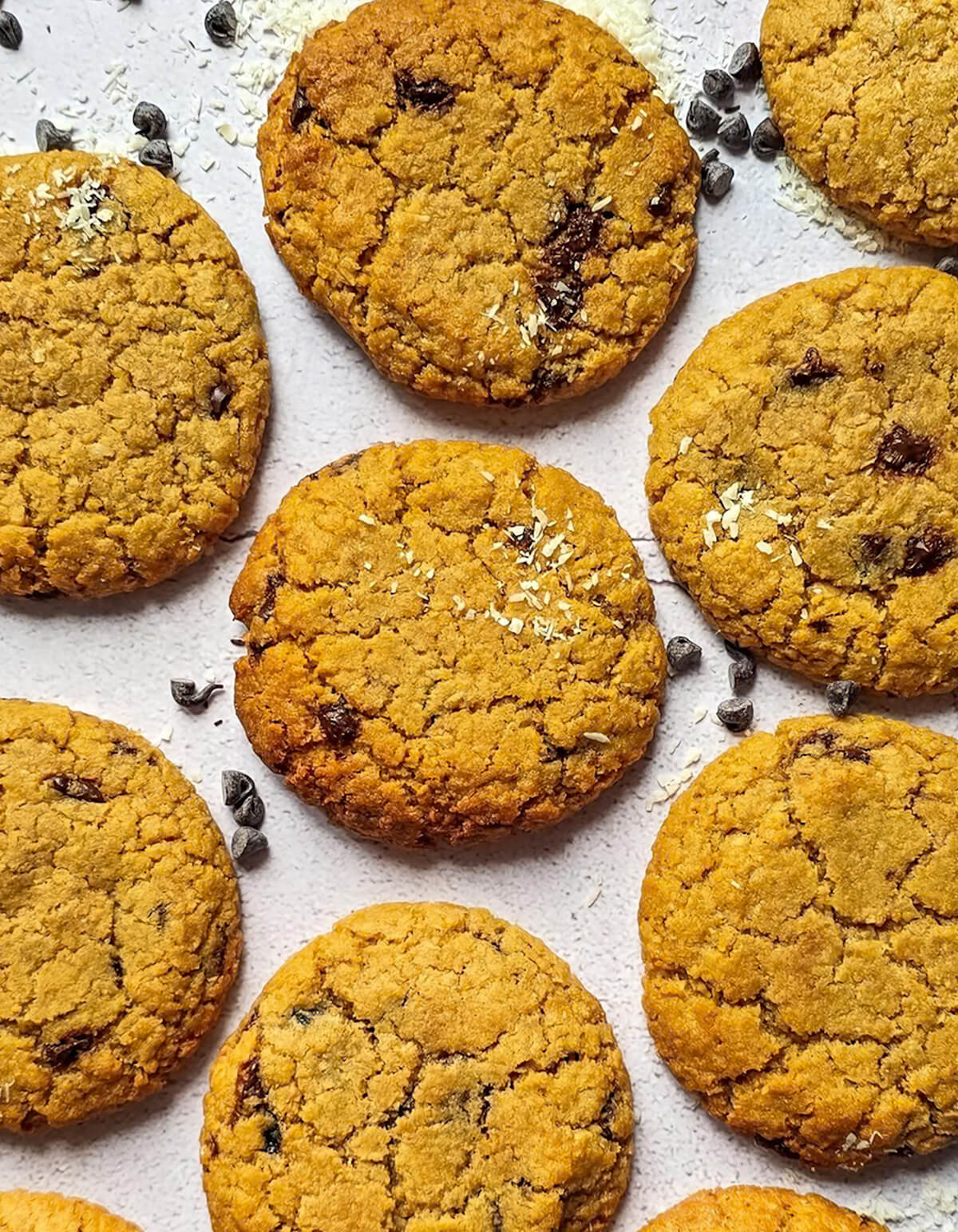 Des cookies noix de coco chocolat sur un fond blanc.