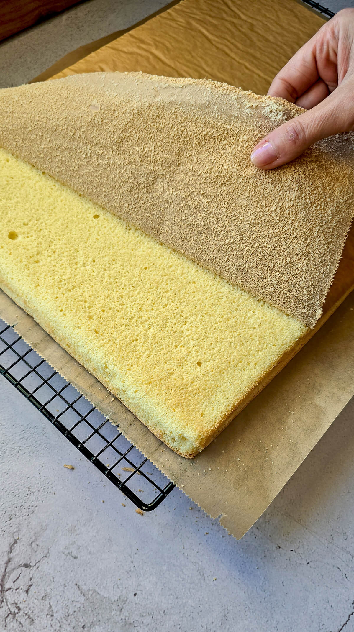 Décoller papier sulfurisé d'une plaque biscuit cuillère.