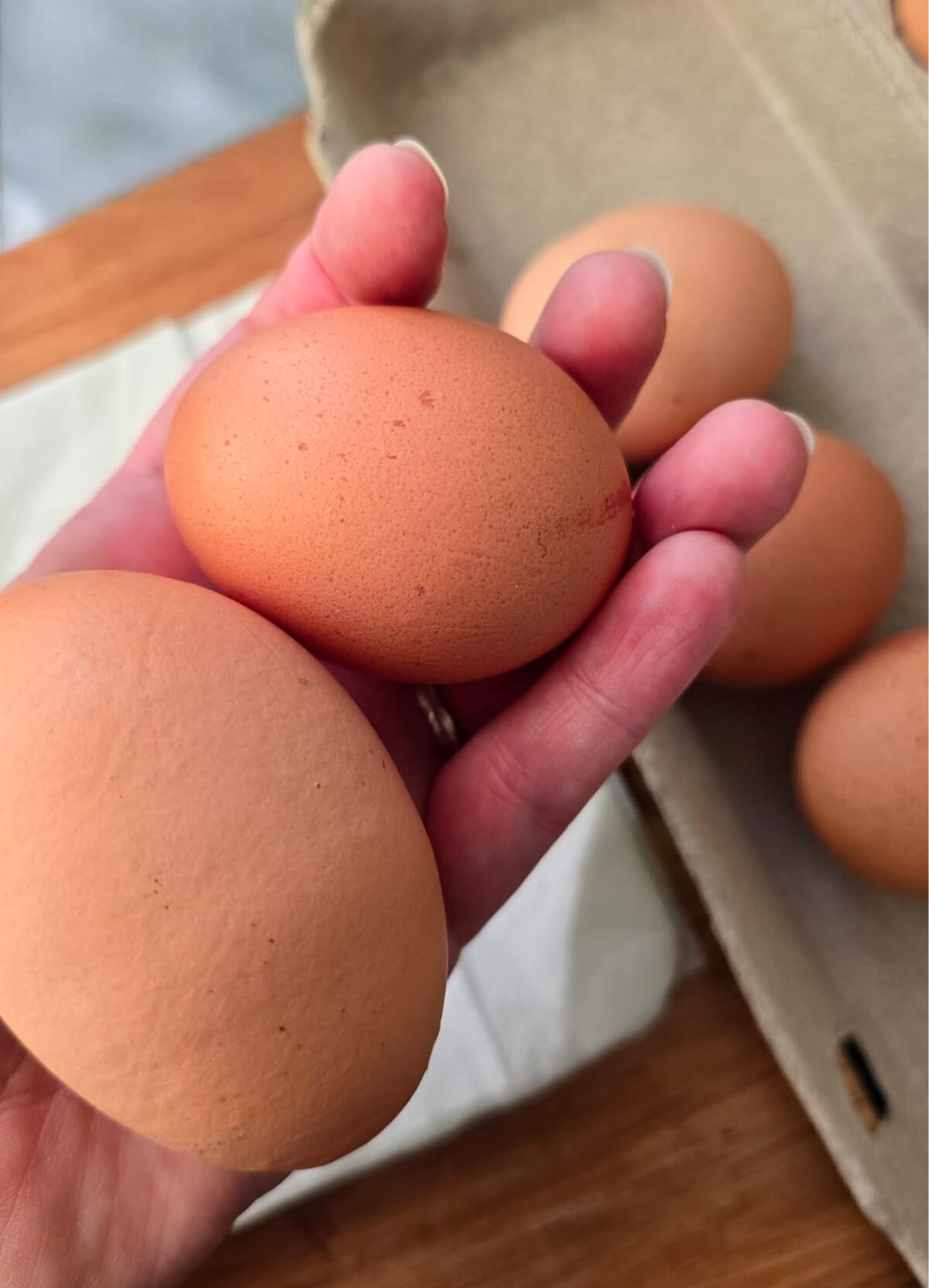 Conserver et utiliser des oeufs dans les recettes.