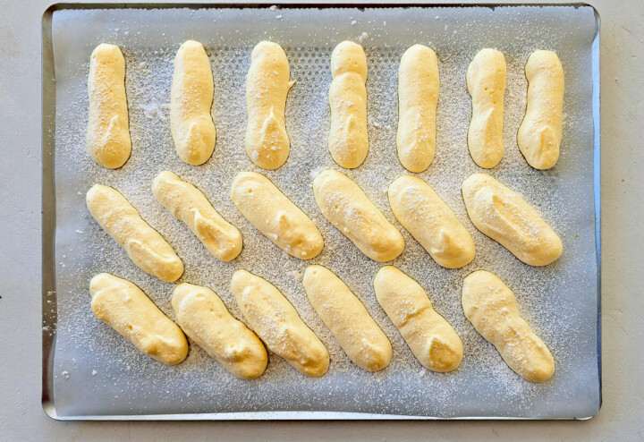La cuisson des biscuits cuillère sur une plaque de cuisson, saupoudrés de sucre glace.
