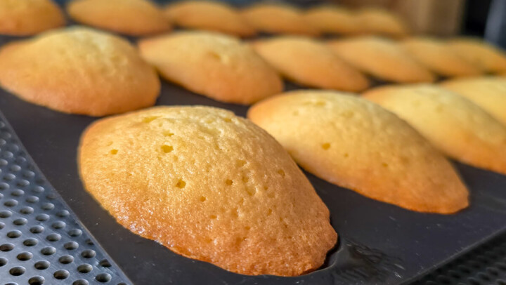 Plaque de madeleines de Cyril Lignac dorées avec une grosse bosse bien développée à la sortie du four.