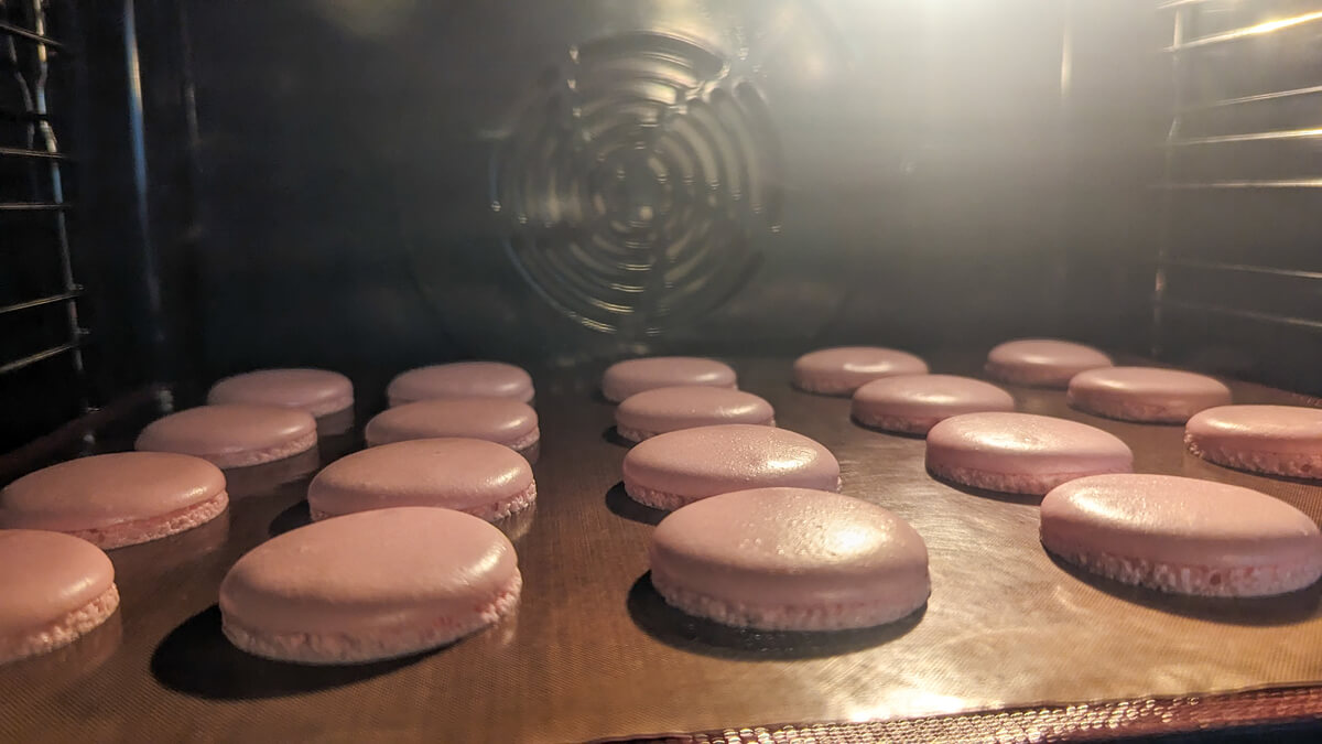 Vue de l'intérieur d'un four montrant une plaque de coques de macarons roses en cours de cuisson, avec des collerettes bien formées et une surface lisse sans fissures.