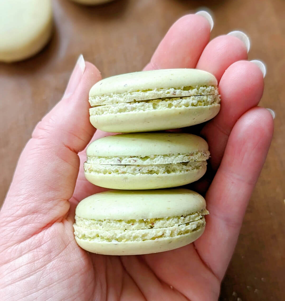 Des coques macarons verts clairs dans le creux d'une main, montrant une belle collerette et des coques qui ne craquent pas.