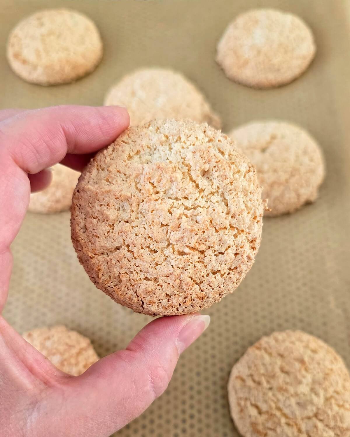 Main tenant un biscuit coco-amande moelleux et doré, devant une plaque de cuisson couverte d’autres biscuits tout juste sortis du four.