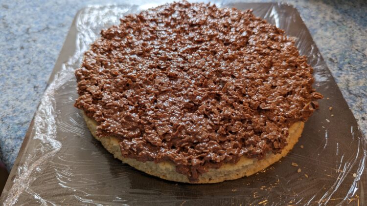 Entremets chocolat au lait noisettes entremet choco noisettes