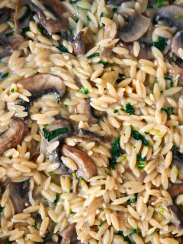 Des Pâtes Orzo Aux Champignons