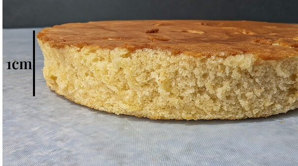 épaisseur-biscuit-madeleine-buche-noel-exceptionnelle (1) Epaisseur d'un centimètre du biscuit madeleine pour la bûche exceptionnelle.