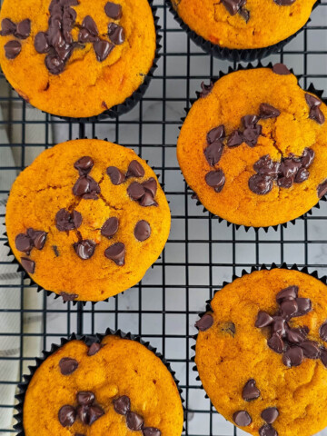 Des muffins potimarrons chocolat sur une grille de refroidissement.