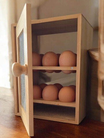 Une boîte à œufs de comptoir