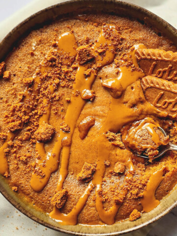 Gros plan sur une cuillère remplie de bowlcake moelleux au spéculoos, brillant de nappage fondant. En arrière-plan, le bol et des biscuits Lotus entiers.